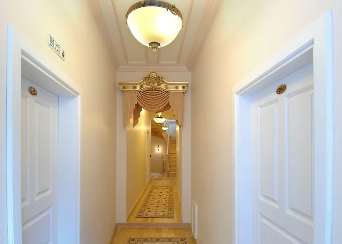 Darussaade Hotel Old City - Sultanahmet Estambul admite animales