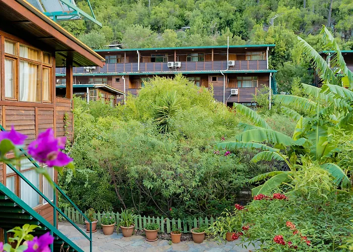 Turkmen Tree Houses Olimpos