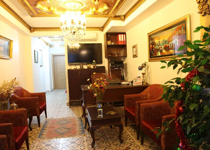 Borancik Hotel Estambul