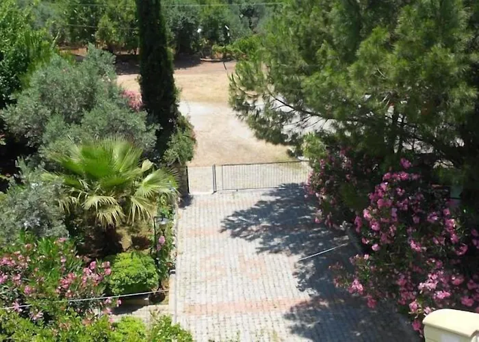 Pet friendly Klas Hotel Oludeniz