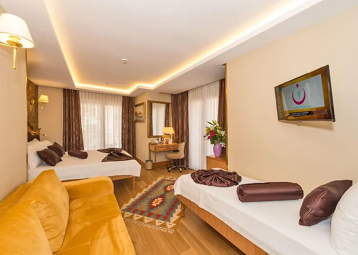 Pet friendly Aprilis Gold Hotel - Special Category Istanbul