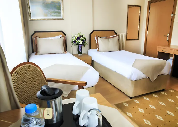Hotel Anka Business Park Kinaliada  admite animales