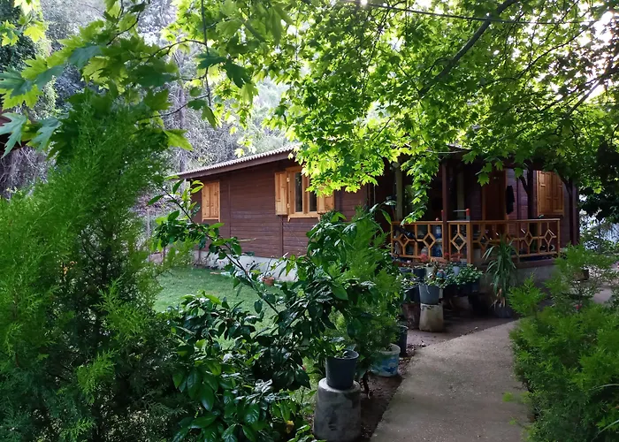 Haustierfreundliches Maji Village Çıralı
