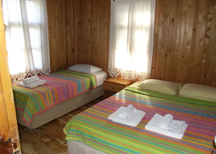 Koala Bungalows Olimpos