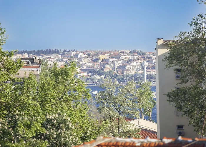 Golden Pen Hotel Estambul admite animales