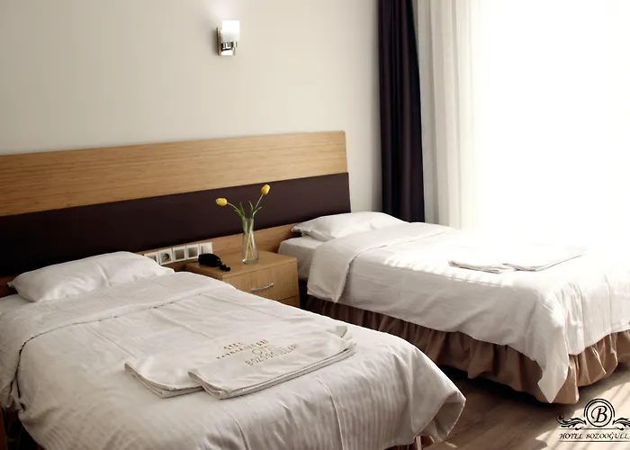 Hotel Bozoogullari Batman