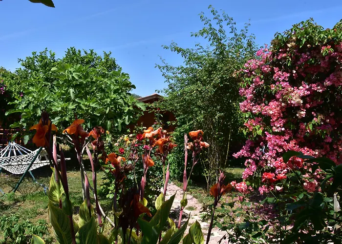 Lemon Garden Lodge Çıralı
