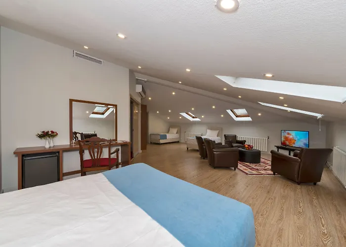 Febor Park Istanbul Levent Hotel que aceita animais de estimação