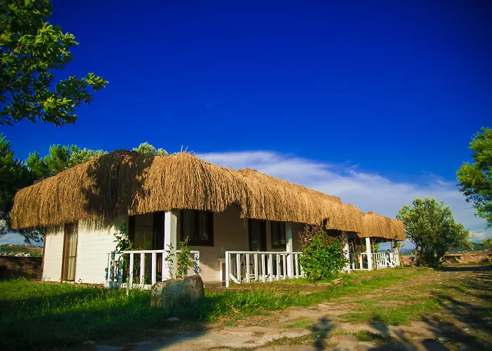 Hotel Cunda Fora Glamping Sefacamlik