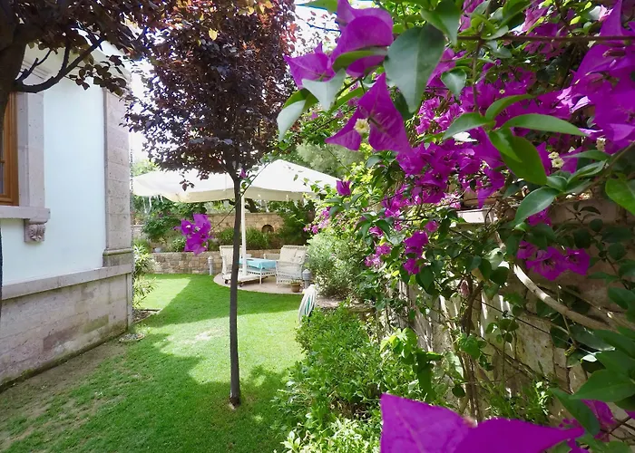 Haustierfreundliches Tas Bahce Hotel Cunda Ayvalı