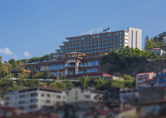 Haustierfreundliches Radisson Blu Hotel Trabzon