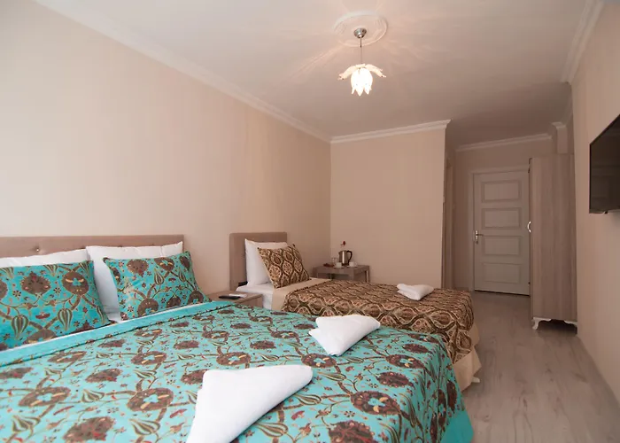 Hotel Estambul