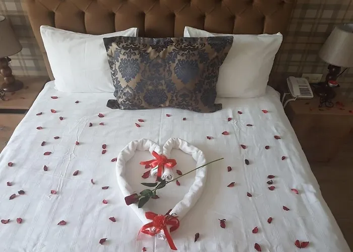 Sedapark Hotel Biga