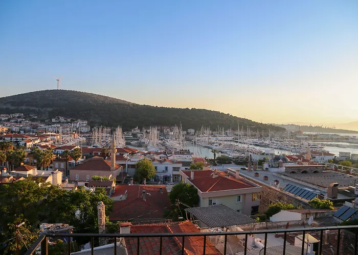 Pet friendly Villa Veria Cesme