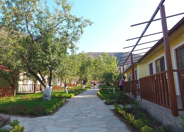Hotels in Palamutbükü