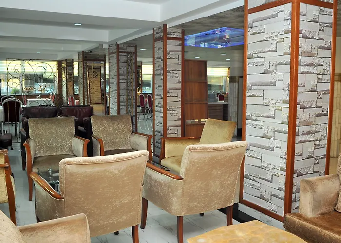 Huisdiervriedelijke Lion City Hotel Ankara