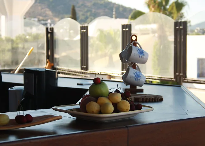 Haustierfreundliches La Luna Hostel Bodrum