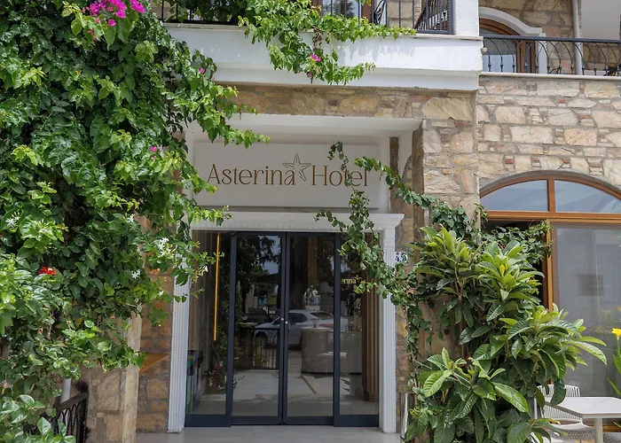Asterina Hotel Turgutreis