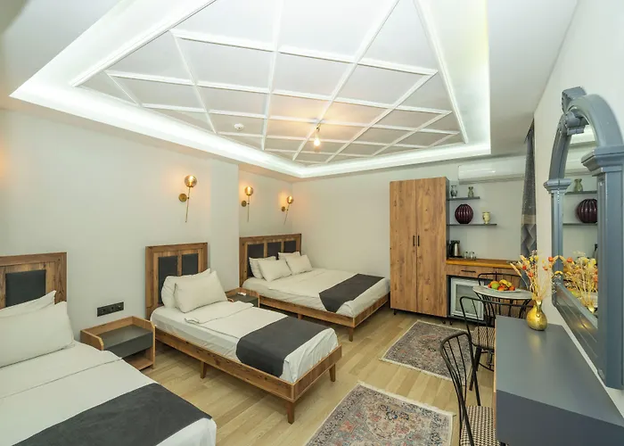 Mansion Valeria Hotel Istambul