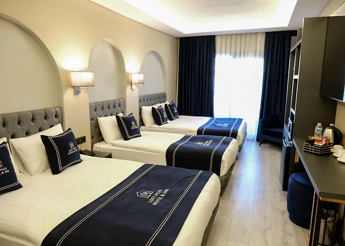 Plus Hotel & Private Transportation Istanbul Airport-By Loft Arnavutkoy
