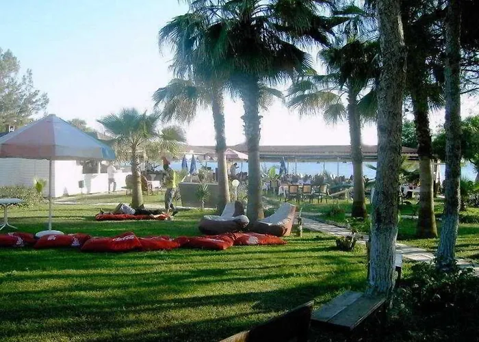 Clover Magic Nova Beach Side