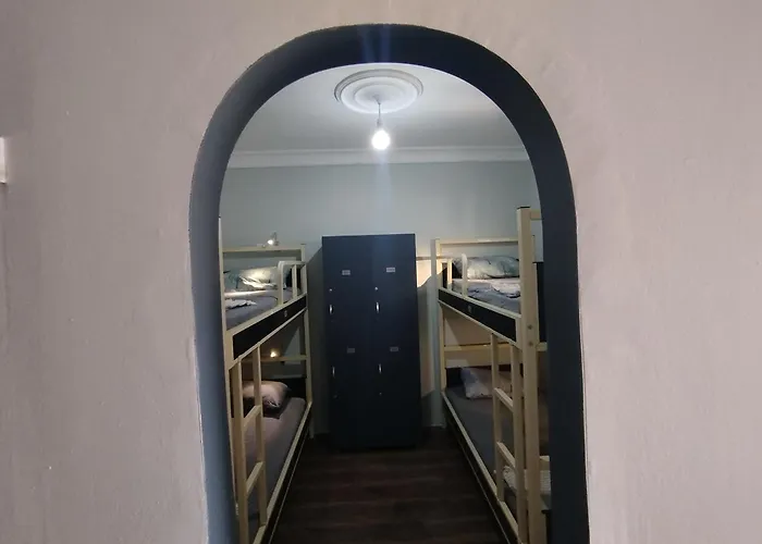 ivy hostel cafe Estambul admite animales