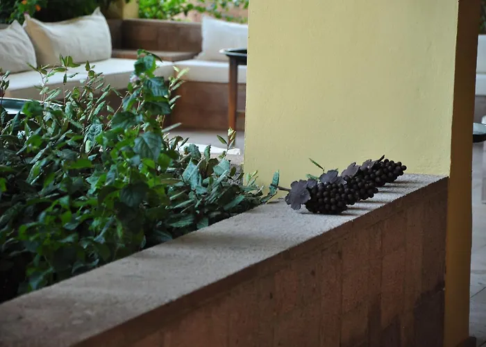 Palm Court Suites Ayvalı