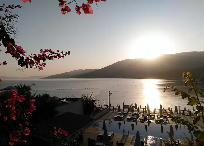 Sina Hotel (Adults Only) Torba - 4-sterenhotel