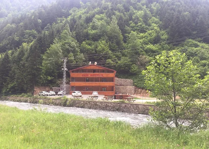 Çam Otel 2 Uzungöl