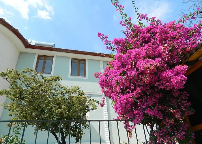 Pine Forest Hotel Ölüdeniz