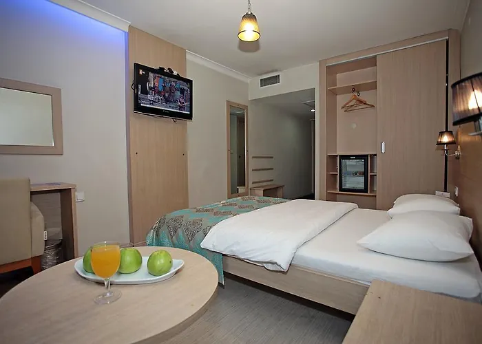Yildizoglu Hotel Samsun