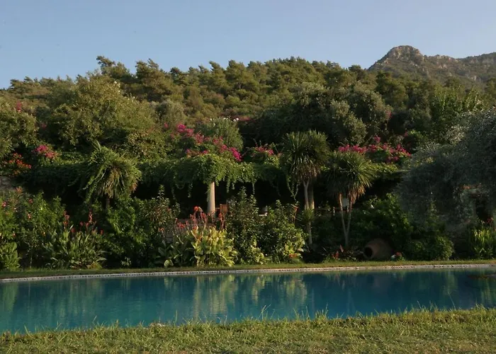 Antik Zeytin Hotel & Art Golturkbuku