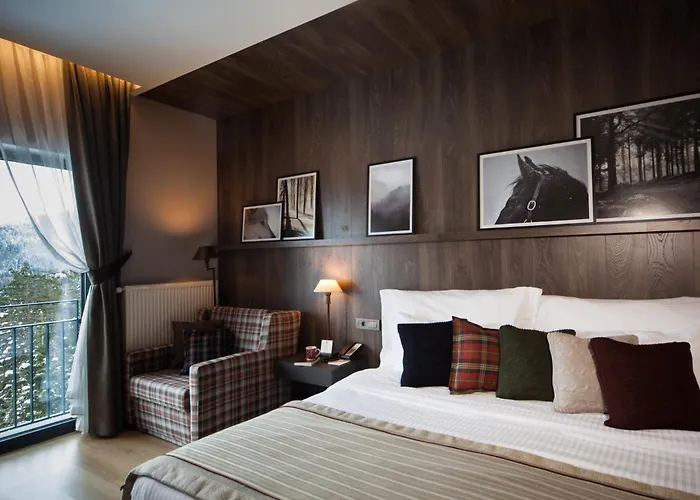 Ilgaz Mountain Resort Hotel