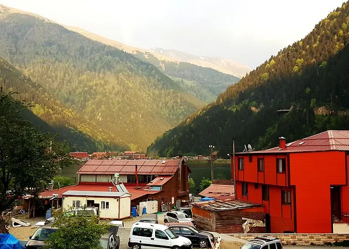 Yali Apart Uzungöl