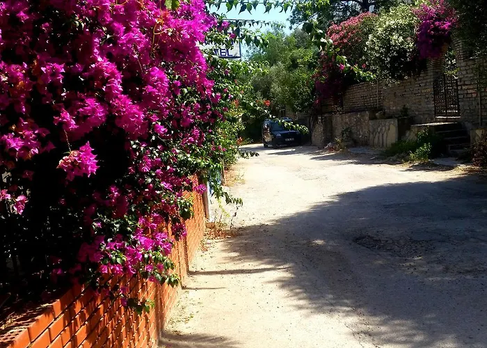 Jungle Apart Otel Torba