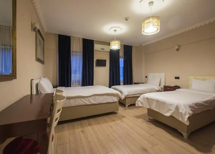 Ixir Hotel Estambul admite animales