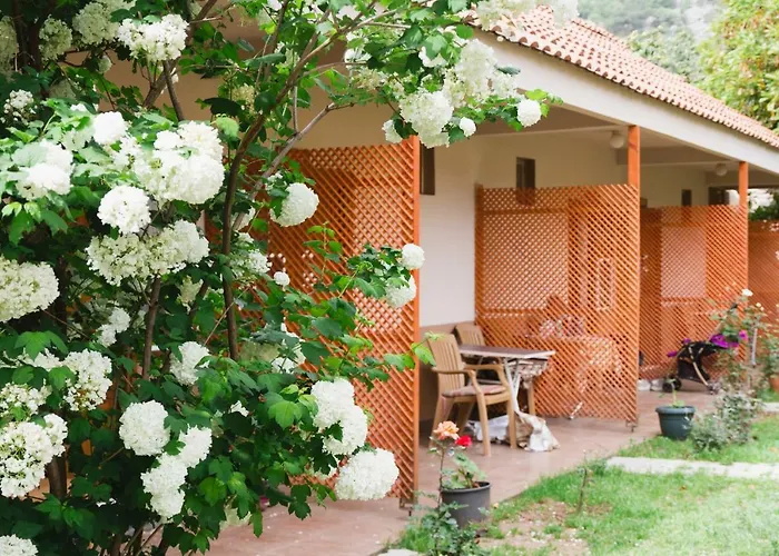 Haustierfreundliches Village Garden Pansiyon Antalya