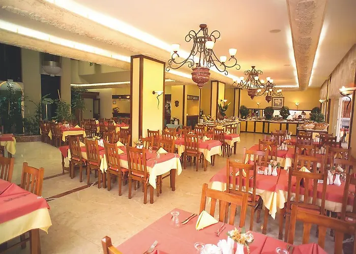 4 Sterne-Hotel-Magnolia Hotel Avsallar