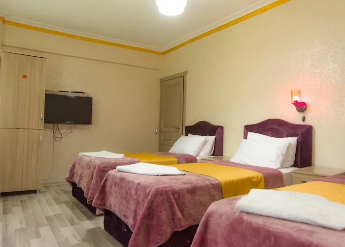 Oez Duenya Hotel Istanbul