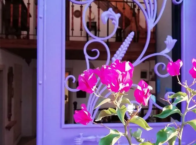 Kispet Marti Boutique Hotel Ayvalı