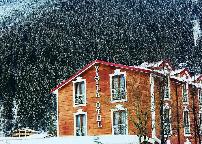 Uzungol Yayla Hotel
