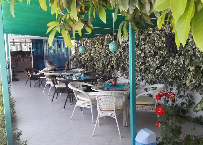 Hotel Mico Ortaca 