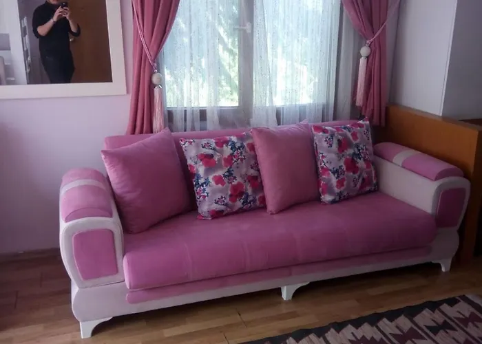 Tala Istanbul Suites admite animales