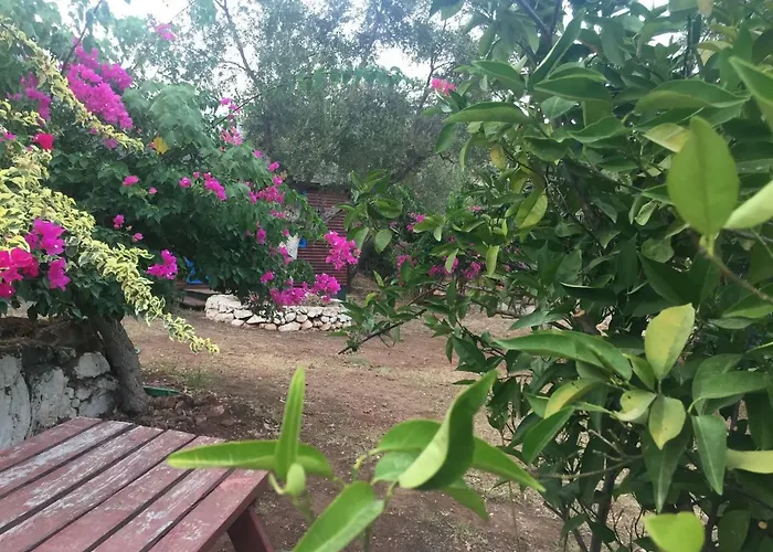 Bahar Bahce Datca Mesudiye 