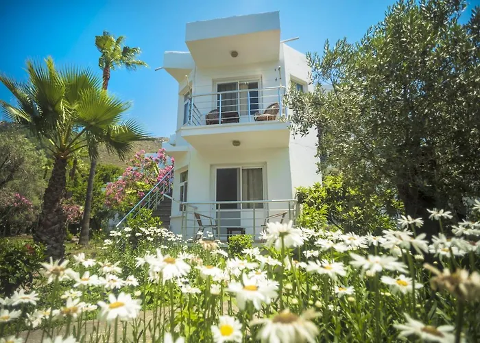 Baraka Hisaronu (Adults Only) Hotell Marmaris