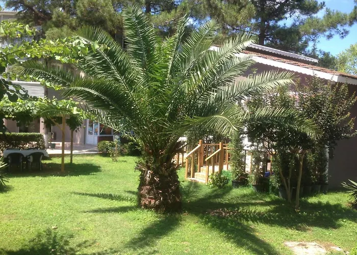 Shila Doert Mevsim Tatil Koyu Otel Ağva